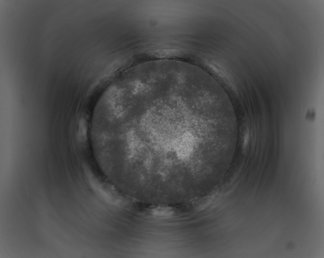 X0000092210214200710051144