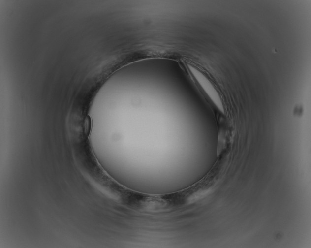 X0000092210215200710051144