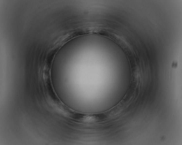 X0000092210218200710051144