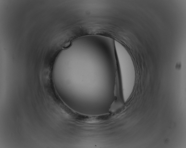 X0000092210219200710051144