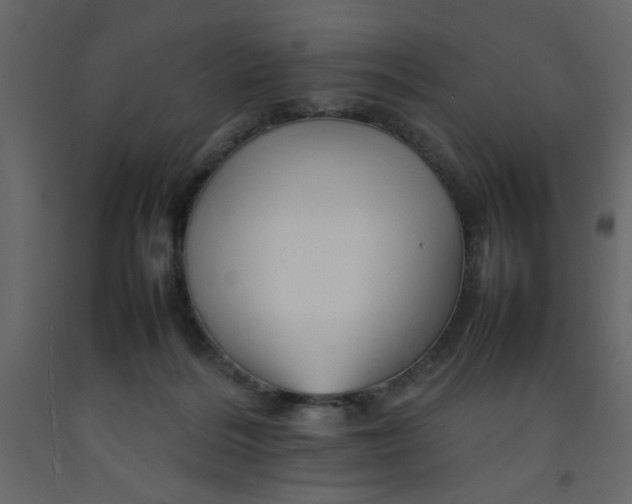 X0000092210220200710051143
