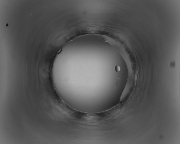 X0000092210221200710051143