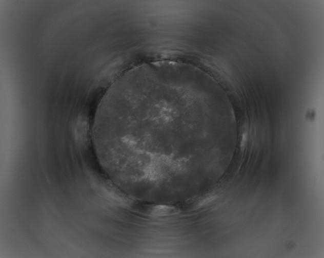 X0000092210222200710051143