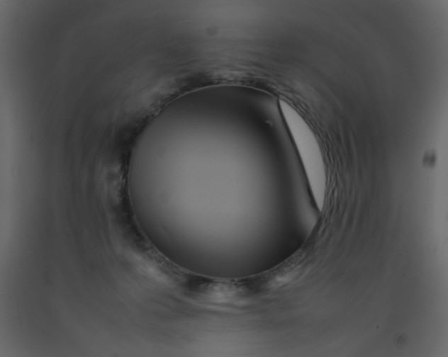 X0000092210223200710051143