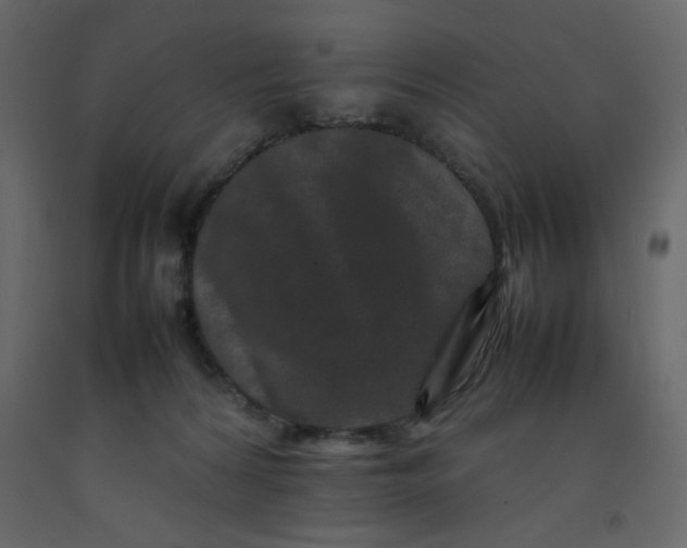 X0000092210224200710051143