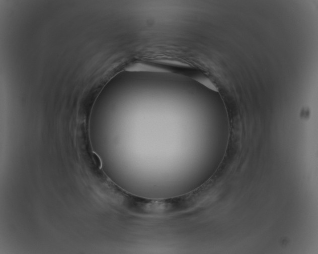 X0000092210225200710051143