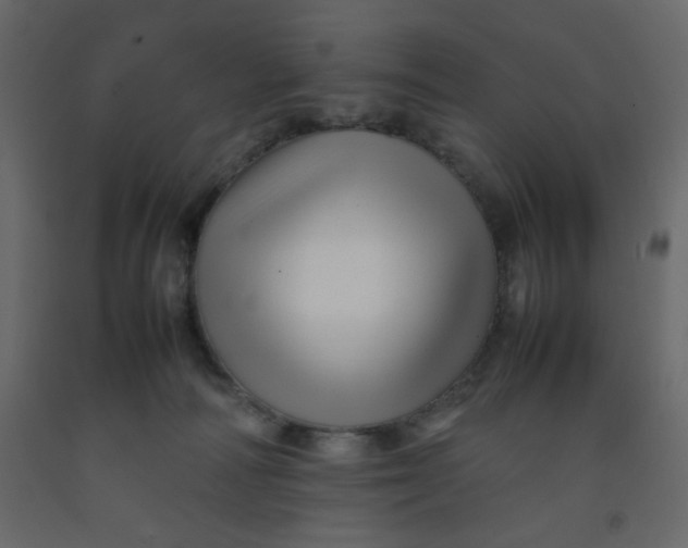 X0000092210226200710051143