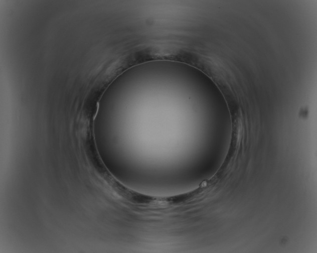 X0000092210227200710051143