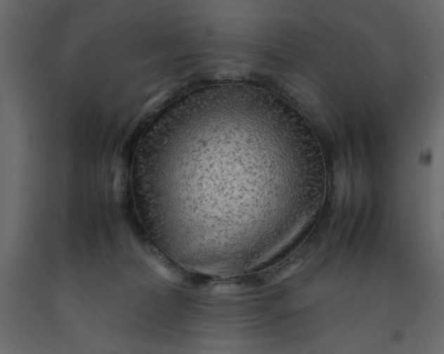 X0000092210228200710051143