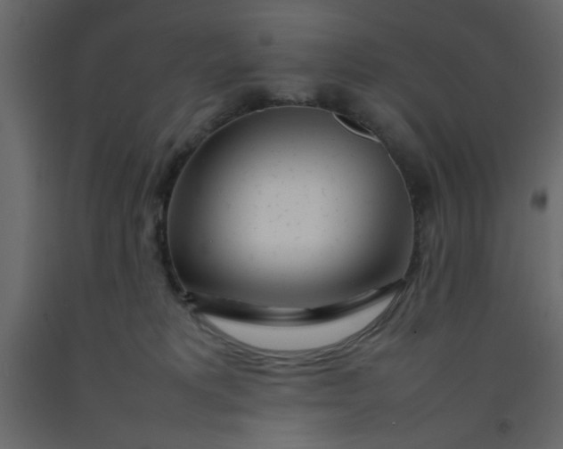 X0000092210229200710051143