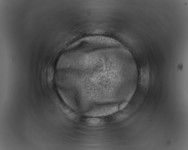 X0000092210230200710051143