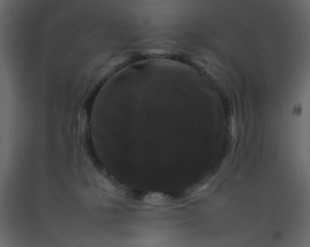 X0000092210231200710051143