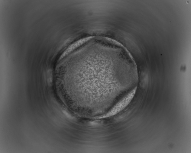 X0000092210232200710051143