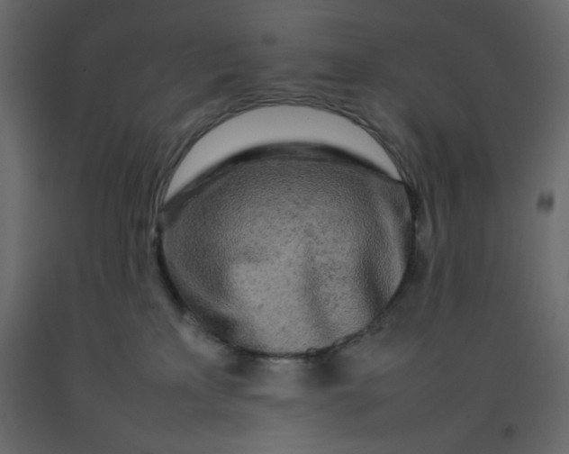 X0000092210233200710051143