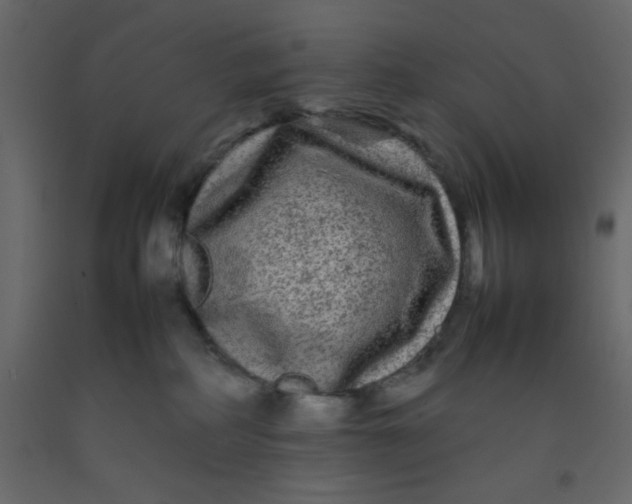 X0000092210234200710051143