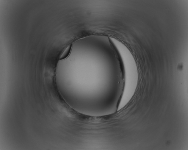 X0000092210235200710051143