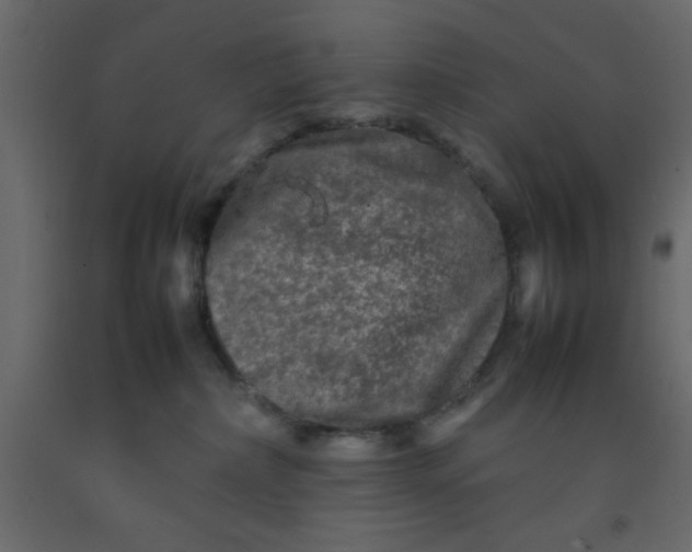 X0000092210236200710051143