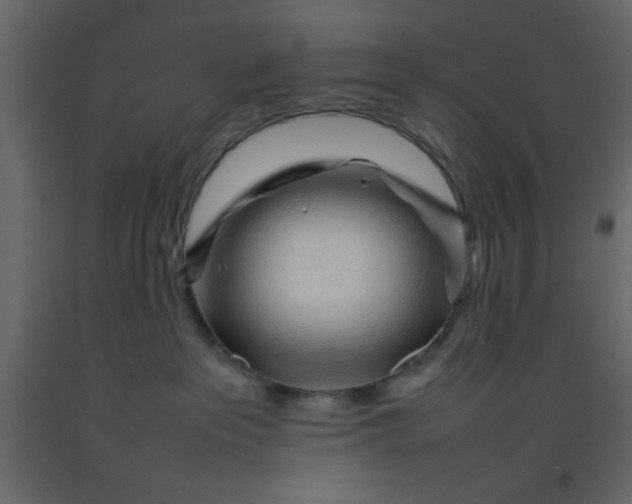 X0000092210237200710051143