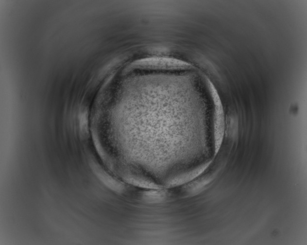 X0000092210238200710051143