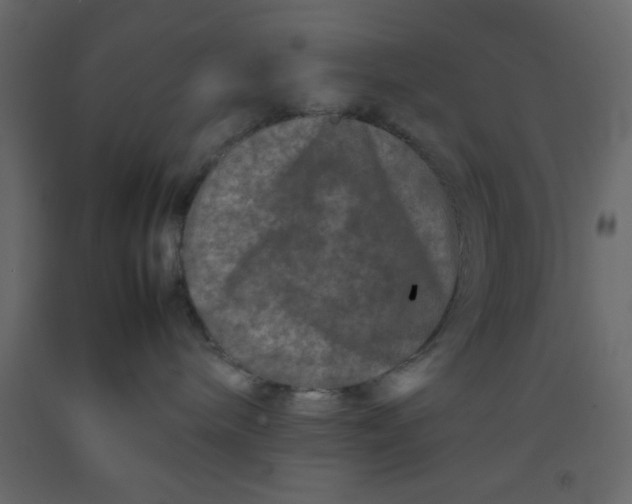 X0000092210240200710051143