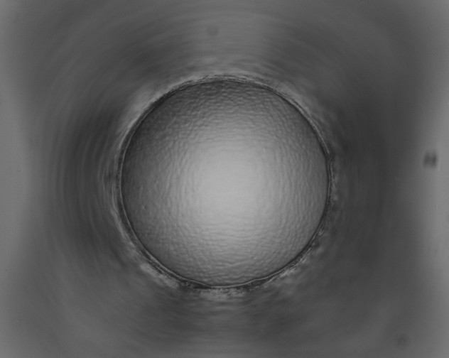 X0000092210241200710051142