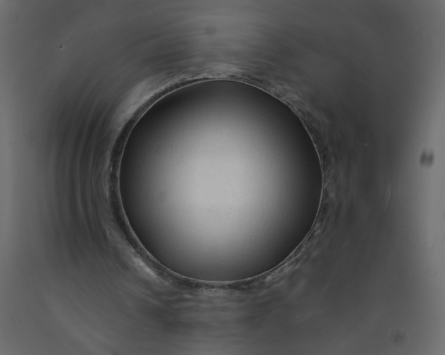 X0000092210242200710051142