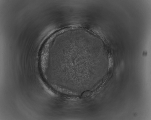 X0000092210243200710051142