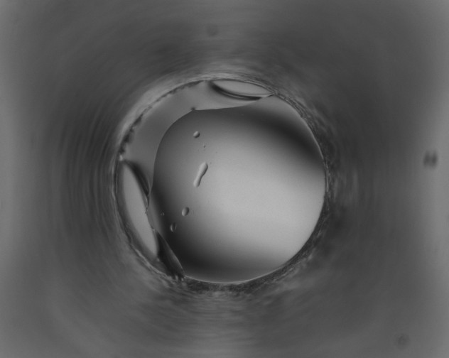 X0000092210244200710051142