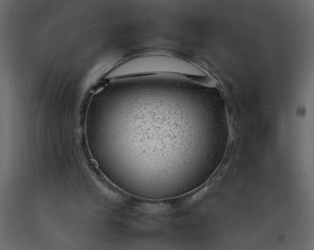 X0000092210245200710051142