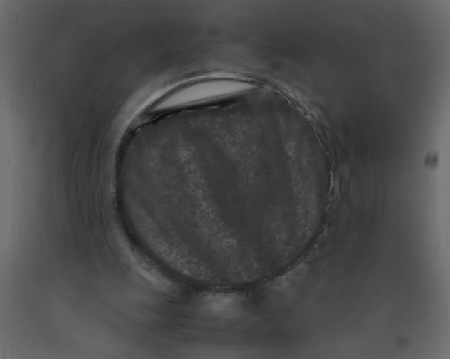 X0000092210247200710051142