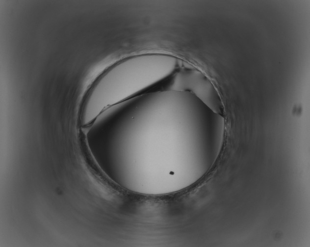 X0000092210248200710051142