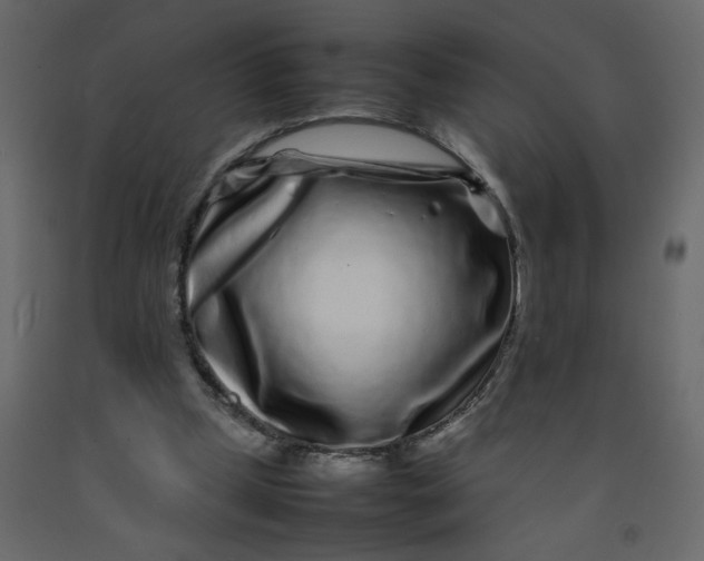 X0000092210249200710051143