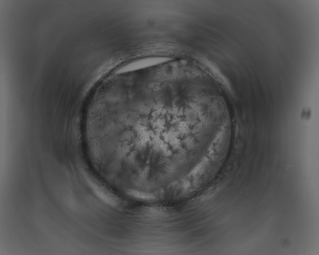X0000092210250200710051143