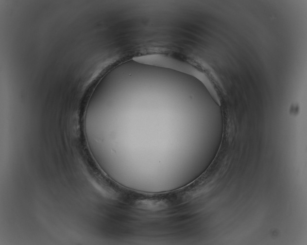 X0000092210251200710051143