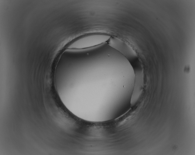 X0000092210252200710051143