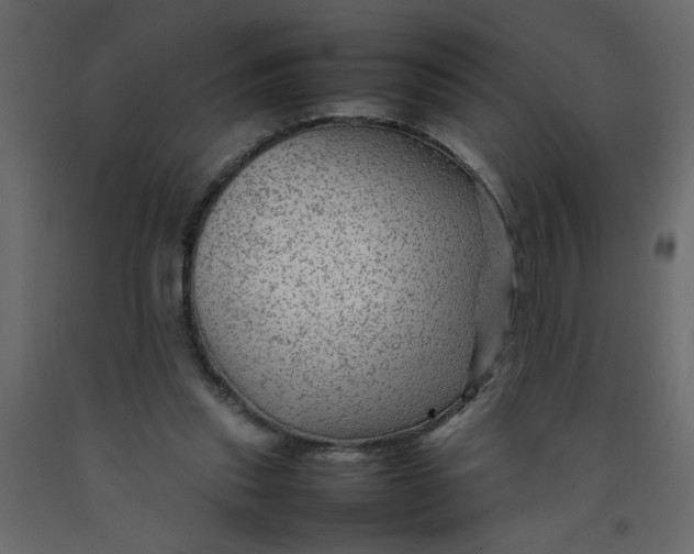 X0000092210253200710051143