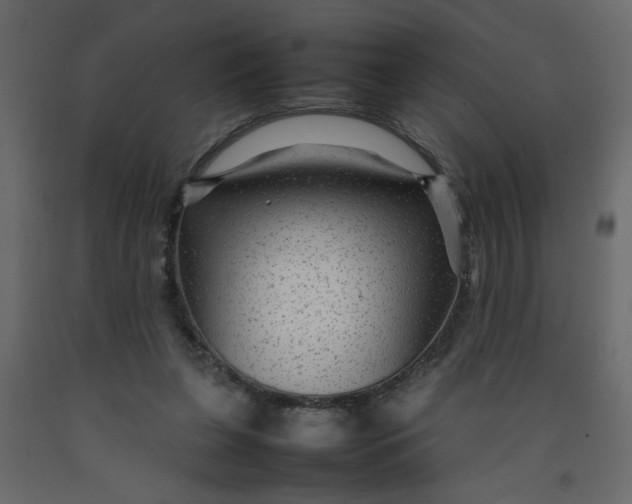 X0000092210255200710051143