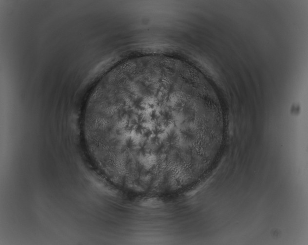X0000092210258200710051143