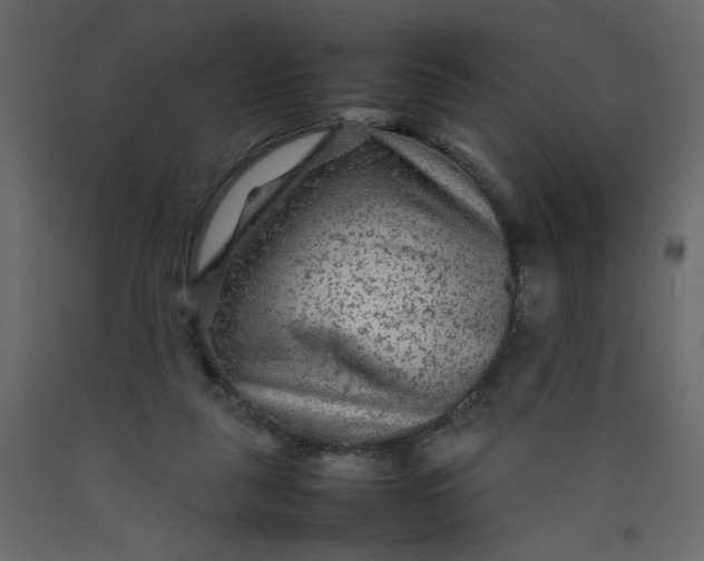 X0000092210259200710051143