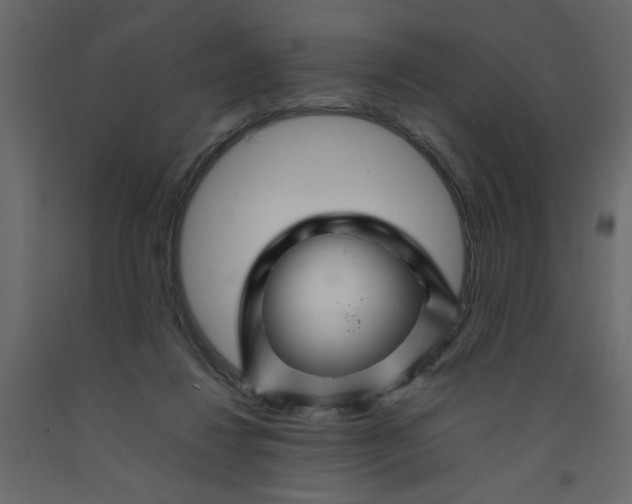 X0000092210260200710051143