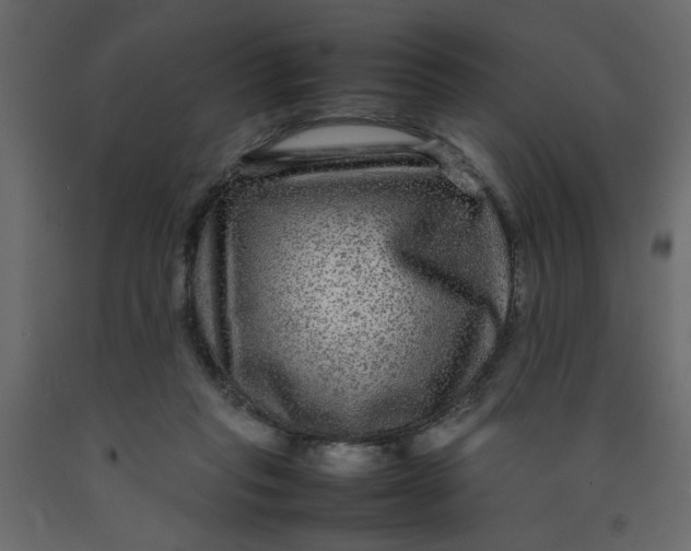 X0000092210261200710051143