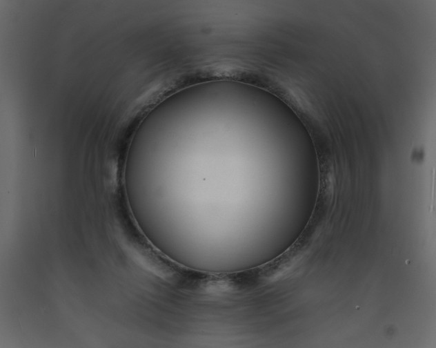 X0000092210262200710051143