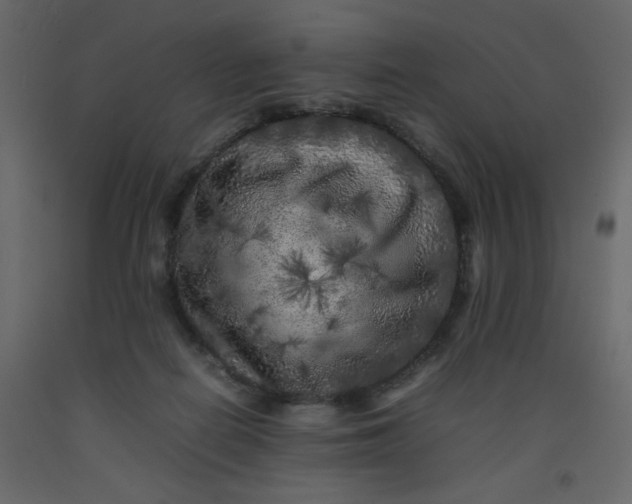 X0000092210266200710051143