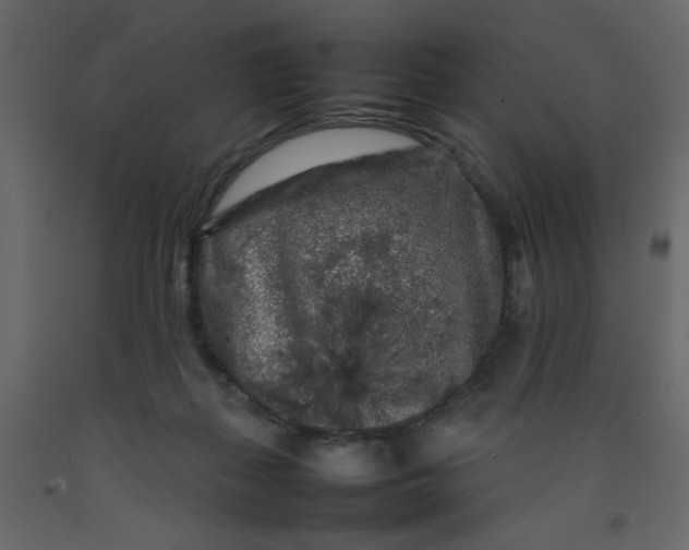 X0000092210267200710051143