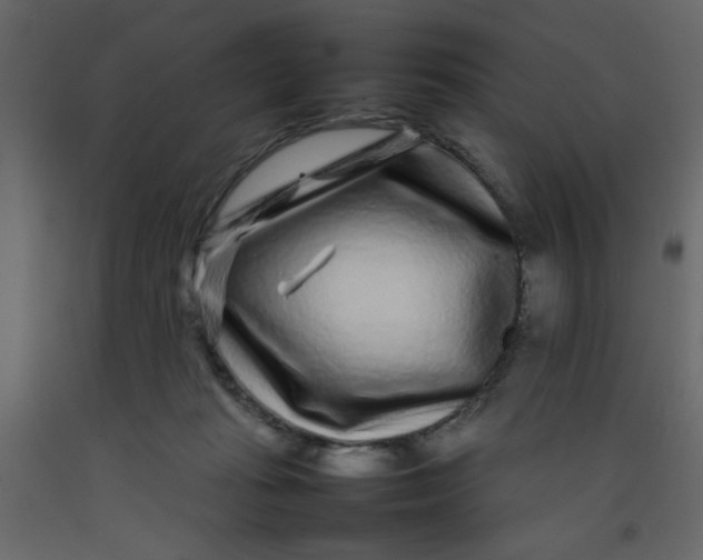 X0000092210269200710051143