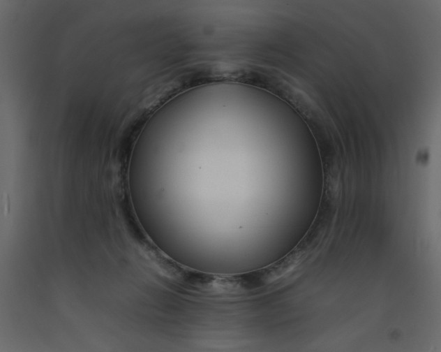 X0000092210270200710051143
