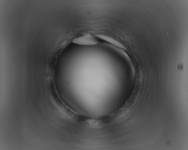 X0000092210272200710051143