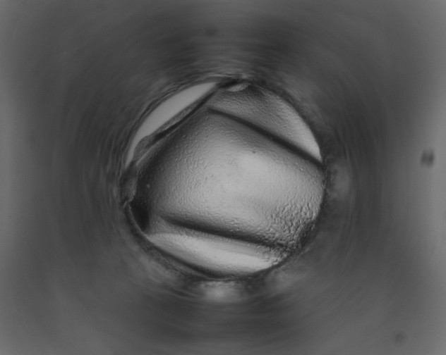 X0000092210273200710051143