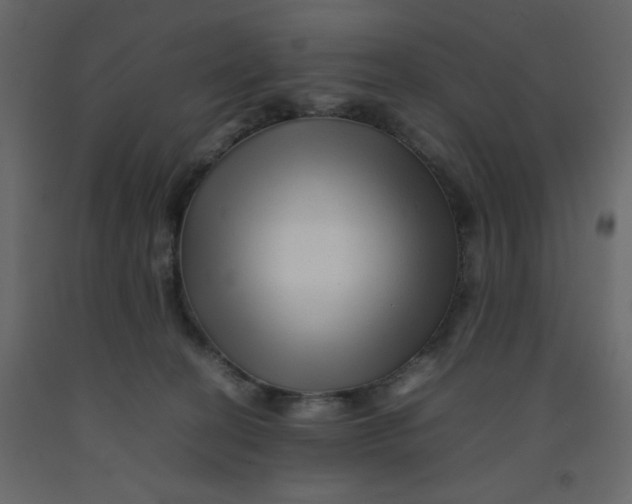 X0000092210274200710051143