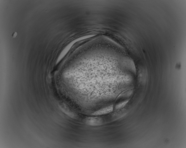 X0000092210275200710051143